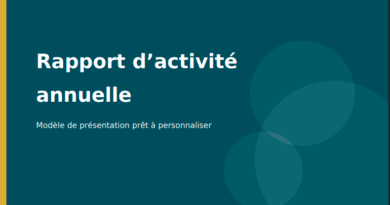 Méthodes de présentation d’un rapport d’activité annuelle : Exemple PDF