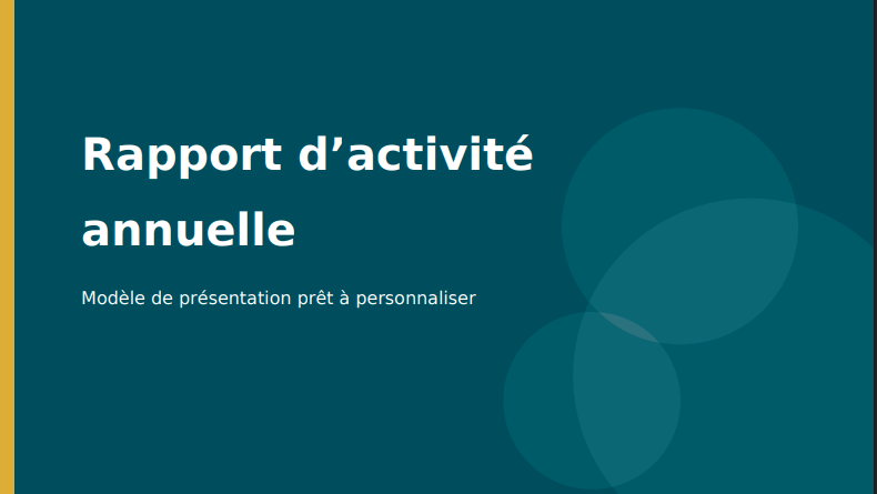 Méthodes de présentation d’un rapport d’activité annuelle : Exemple PDF