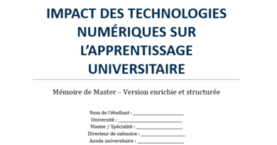 Mémoire de Master : structure universitaire et Exemple rempli