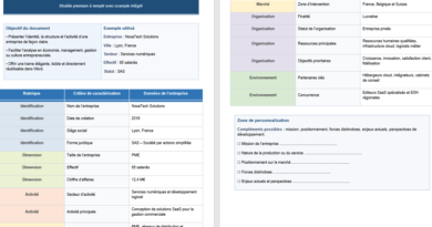 Tableau de caractérisation d’entreprise et management : Modèles, usages et différences