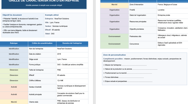 Tableau de caractérisation d’entreprise et management : Modèles, usages et différences