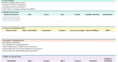 Méthodologie SVT : réussir l’analyse de document