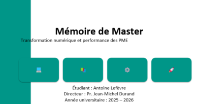 Pages de garde de mémoire utilisées dans les universités françaises