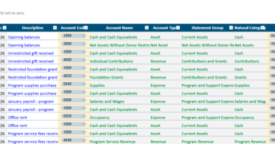 Nonprofit Accounting Excel Template USA | Dashboard, Reports, Automation