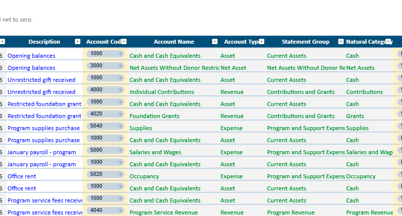 Nonprofit Accounting Excel Template USA | Dashboard, Reports, Automation