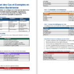 Cas et exemples en microbiologie : identification bactérienne 🧫