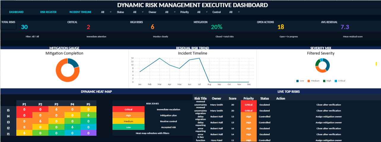 Dynamic Risk Management Executive Dashboard
