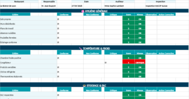 Grille d’Audit Restaurant : Modèles Word et Excel à télécharger + tableau visuel