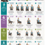 Gym douce pour seniors sur chaise : exercices et programme quotidien