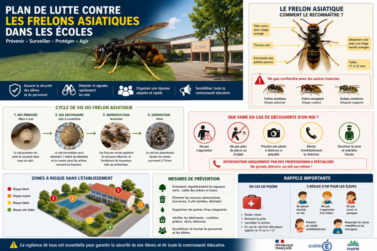 Plan de Lutte contre les Frelons Asiatiques dans les Écoles