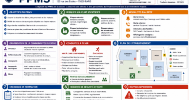 Plan Particulier de Mise en Sûreté (PPMS) : modèle