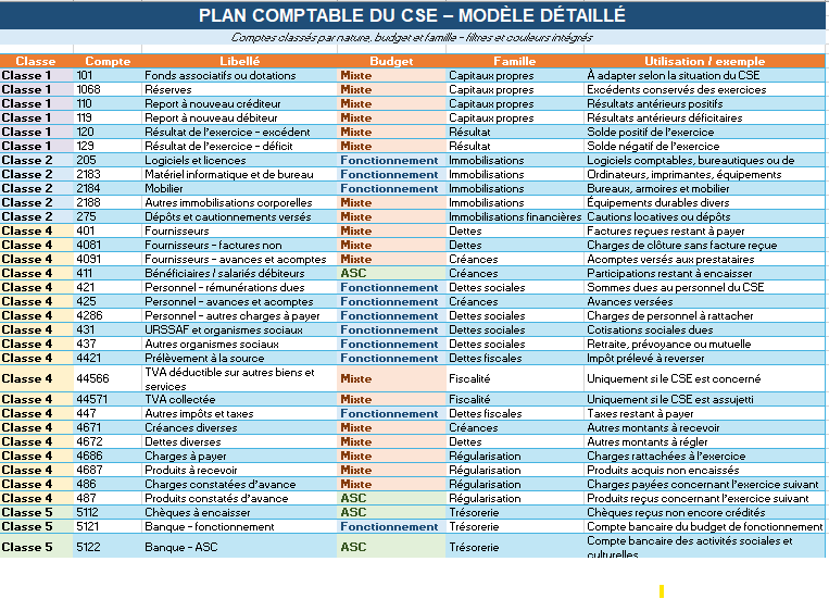 Plan comptable CSE automatisé sous Excel
