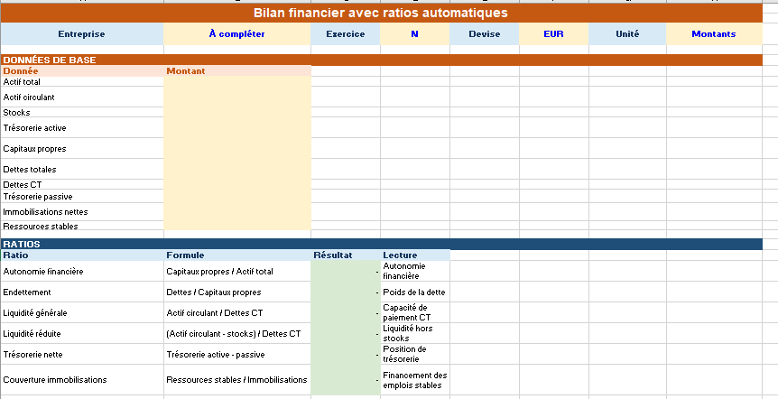Bilan financier avec ratios automatiques