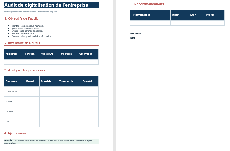 Audit de digitalisation d'entreprise