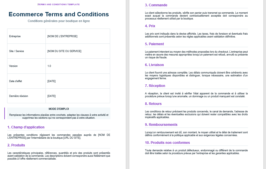 Website Terms and Conditions