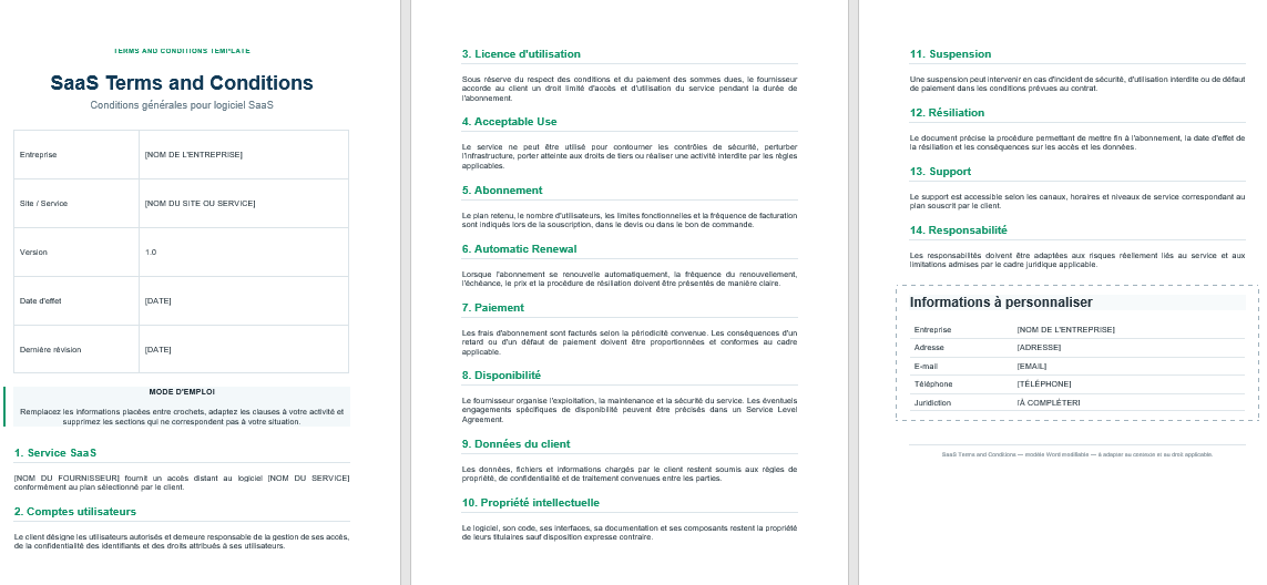 SaaS Terms and Conditions
