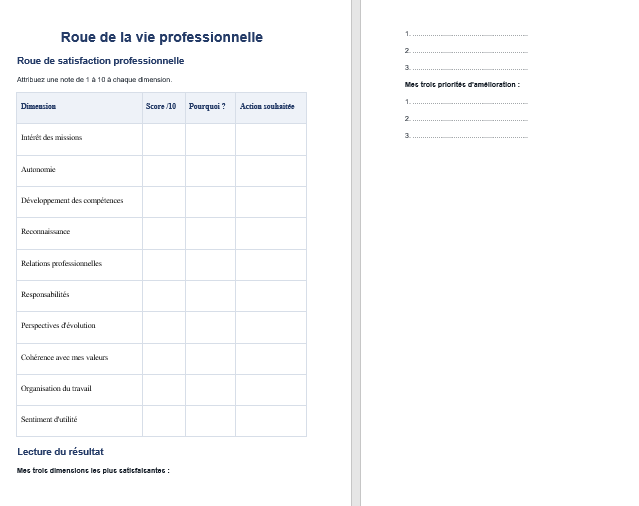 Roue de la vie professionnelle
